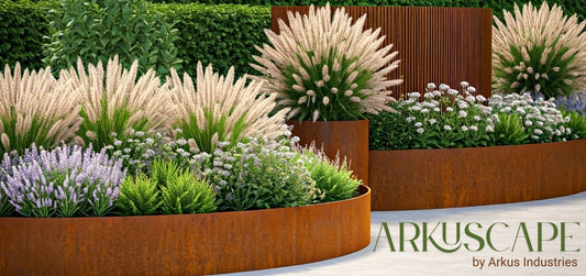 🌱 ArkuScape: The Key is in the Simplicity