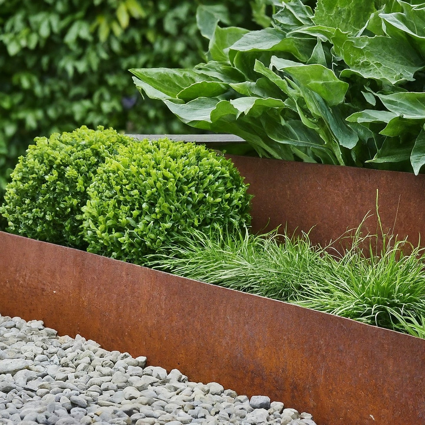 1.6mm corten steel garden edging used to define garden beds and pathways, offering a durable, weather-resistant, and low-maintenance landscaping solution.